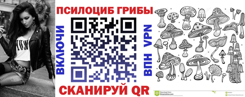 Псилоцибиновые грибы Cubensis  купить  цена  OMG рабочий сайт  Ярославль 